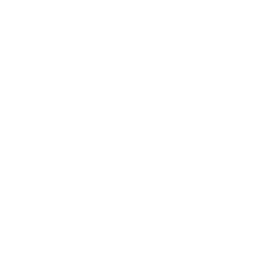The Parallax Solution